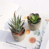 Verdea Artificial Succulent Plant Decor