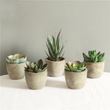 Verdea Artificial Succulent Plant Decor