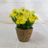 Bloom Ease Mini Artificial Potted Plant