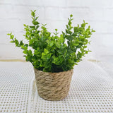 Bloom Ease Mini Artificial Potted Plant