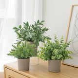 Leafora Artificial Plants in Modern Pots Decor | 3pcs Set