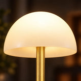 Luna Glow Desk Lamp