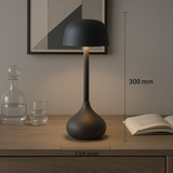 Luna Glow Desk Lamp