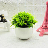Minimalist Artificial Boxwood Bonsai Pot Decor