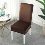 Orvia Universal Elastic Chair Cover for Home & Hotel