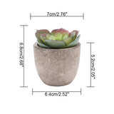 Verdea Artificial Succulent Plant Decor