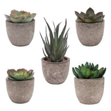 Verdea Artificial Succulent Plant Decor