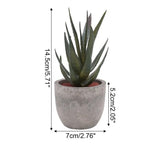 Verdea Artificial Succulent Plant Decor
