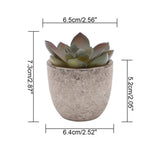 Verdea Artificial Succulent Plant Decor