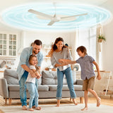 Ceiling Fan Air Purifier Pads | For Indoor Allergies & Hay fever